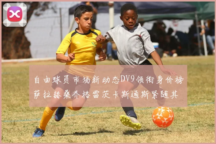 自由球员市场新动态DV9领衔身价榜萨拉赫桑乔格雷茨卡斯通斯紧随其后